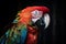 A colorful and vibrant parrot perched on a shoulder, showing off its bright and colorful feathers. Generative AI