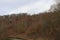 Colorful view at various trees on a mild winters day, Manubach area, Germany