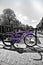 Colorful vintage retro purple bike in amsterdam black and white postcard colorsplash