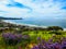 Colorful Vista of California coastline