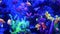 Colorful vivid fishes glow, violet aquarium under ultraviolet uv light. Purple fluorescent tropical aquatic paradise