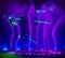 Colorful water fountains. Beautiful laser and fountain show. Large multi colored decorative dancing water jet led light fountain