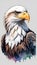 Colorful watercolor Bald Eagle illustration on a white background