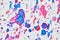 Colorful watercolor blots white background