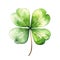 Colorful watercolor four petalled clover leaf illustration