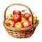 Colorful Watercolor Illustration Of Apples In A Picnic Basket