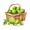 Colorful Watercolor Lime Illustrations In A Picnic Basket