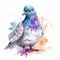 Colorful Watercolor Pigeon Clipart Illustration
