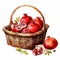 Colorful Watercolor Pomegranates In Wicker Basket On White Background