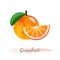 Colorful watercolor texture healthy fruit grapefruit