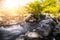 Colorful waterfall yellow bright in national park