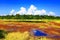 Colorful wetland.