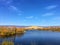 Colorful White birch Trees by Lake in fall