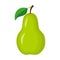 Colorful whole green pear. Vector illustration isolated on white