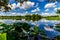 A Colorful Wide Angle Shot of Beautiful 40-Acre Lake with Summer Yellow Lotus Lilies, Blue Skies, White Clouds, and Green Foliage
