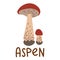 Colorful wild edible aspen with cartoon-style names. Isolated vector flat illustration. Aspen mushroom. Edible mushrooms in