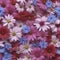 Colorful wildflower wallpaper. Wildflower illustrations. Ai-Generated