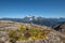 Colorful wildflowers with Mount Shuksan on horizon under blue sky