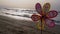 Colorful windmill toy in the seashore.