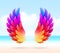 Colorful wings on a tropical sea shore