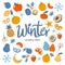 Colorful Winter seasonal fruits background