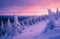 colorful winter sunset sky over the top of a snowy mountain with trees, magenta and cyan.