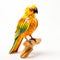 Colorful Woodcarving Parrot Statue On White Surface