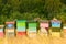 Colorful wooden bee hives stand in the clearing between trees