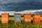 Colorful Wooden Beehives in Fields. Organic Honey Production. Beekeeping and Apiary Concept