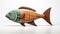 Colorful Wooden Fish Sculpture With Playful Imagery