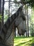 Colorful wooden horse , Lithuania