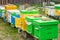 Colorful wooden and plastic hives in summer. Apiary standing in yard. Cold weather and bee sitting in hive