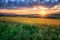 colorful yellow and green fields near the Slovak village Hybe