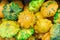 Colorful yellow and green varieties of squashes