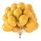 Colorful yellow party balloon bunch shiny decoration