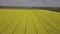 Colorful yellow spring crop of canola, rapeseed or rape viewed from above