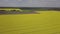 Colorful yellow spring crop of canola, rapeseed or rape viewed from above