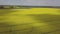 Colorful yellow spring crop of canola, rapeseed or rape viewed from above