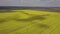 Colorful yellow spring crop of canola, rapeseed or rape viewed from above