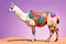 Colorful young Llama pack animal blanket