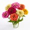 Colorful Zinnias Bouquet On White Background - Realist Lifelike Accuracy