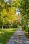 Colorfull autumn walkway