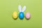 Colorfull easter eggs in nest on green pastel color background
