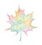 Colorfull maple leaf isolated. Autumn. Abstract illustration, EPS10