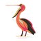 Colorfull pelican vector illustration
