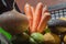 Colorfull vegetables close to a window