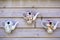 Colorfully painted floral teapot birdhouses on a wooden wall