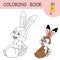 Coloring book with cartoon hare sits and looks back. Colorless and color samples of cartoon Easter Rabbit. Template of coloring