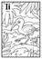 Coloring book, colorless alphabet. Letter I, ibis