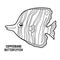 Coloring book, Copperband butterflyfish